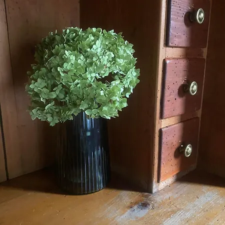 Haus Renard Nyaraló Bartholomäberg